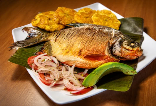Cachama Arropada La Condesa RCB